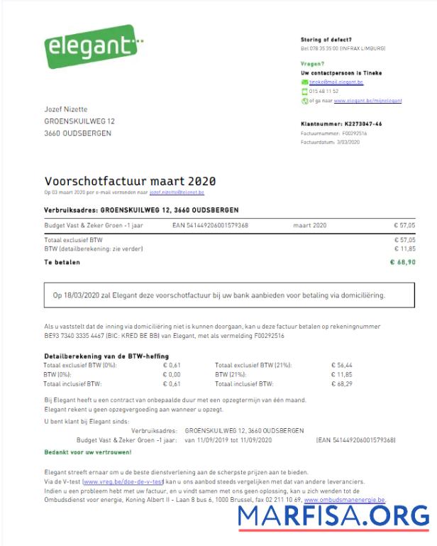 Downloadable BELGIUM ELEGANT utility bill Word and PDF template